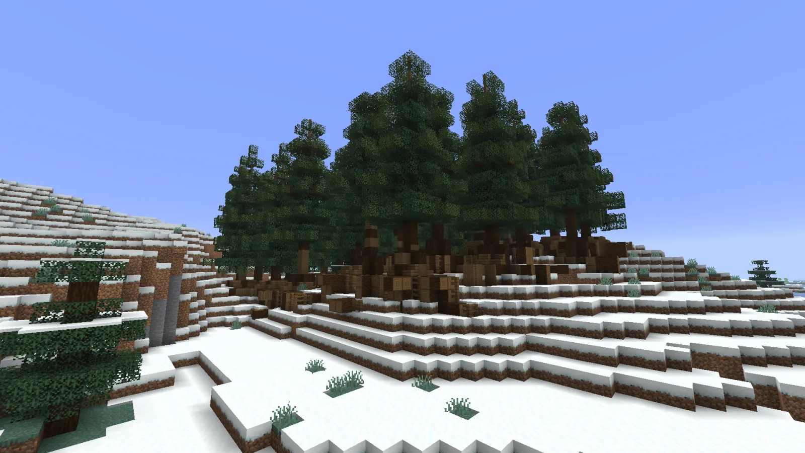 Spruce and fir on a snowy hillside